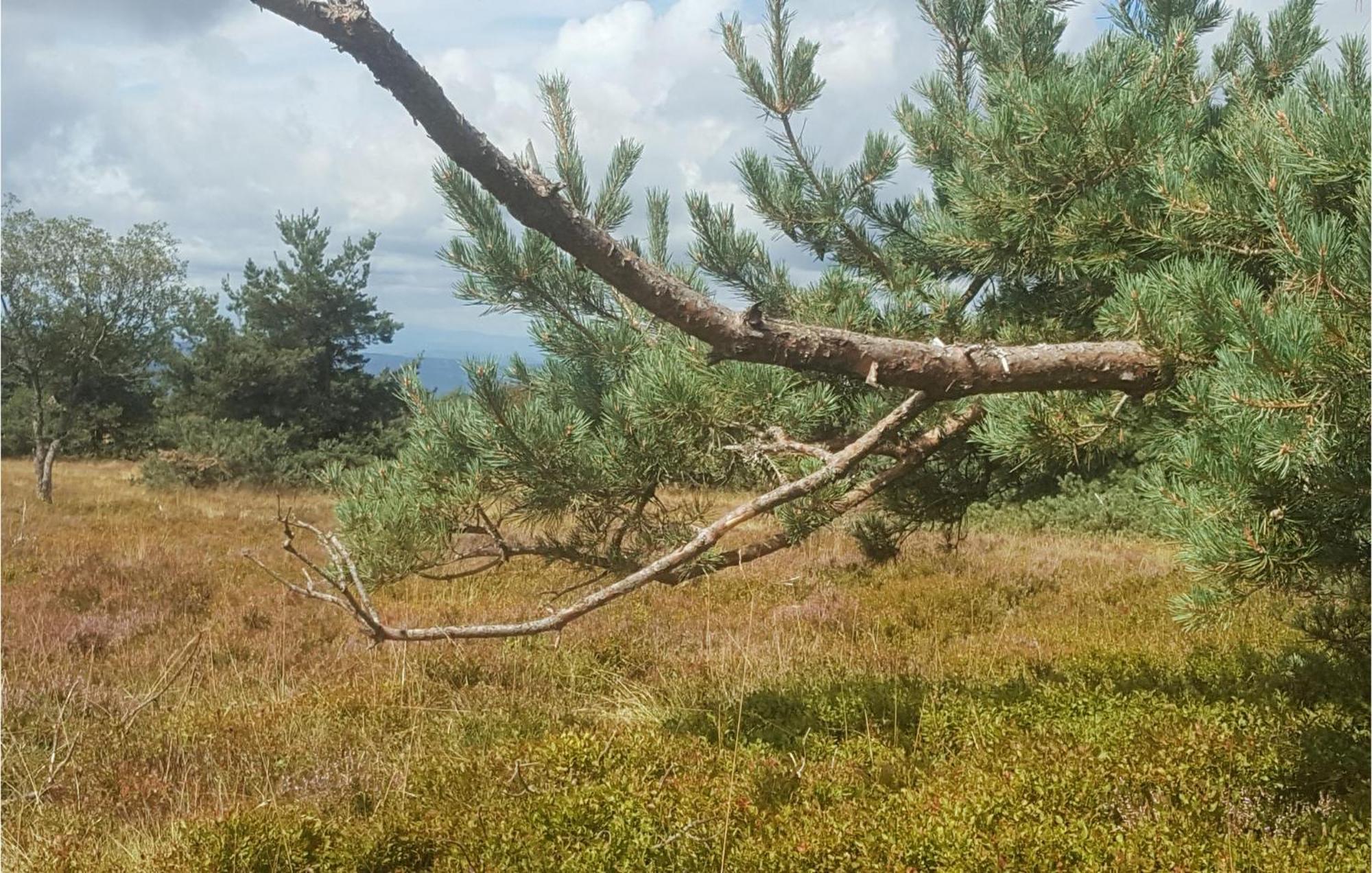 La Feculerie Villa Grandrif Bagian luar foto